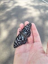 by kiwiaoraki, Views[137]