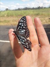 by kiwiaoraki, Views[78]