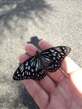 by kiwiaoraki, Views[98]