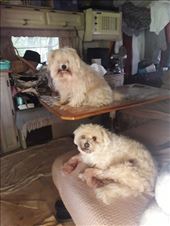 by kiwiaoraki, Views[236]