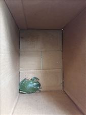 by kiwiaoraki, Views[186]