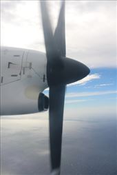 by kiwiaoraki, Views[458]