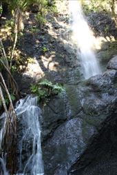 by kiwiaoraki, Views[159]