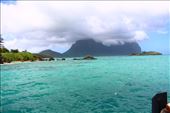by kiwiaoraki, Views[205]