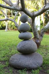 by kiwiaoraki, Views[165]