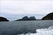 by kiwiaoraki, Views[143]