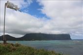 by kiwiaoraki, Views[185]
