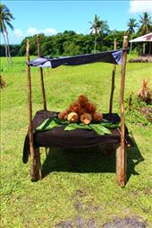 by kiwiaoraki, Views[166]