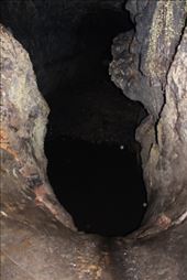 by kiwiaoraki, Views[152]