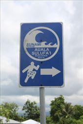 by kiwiaoraki, Views[137]