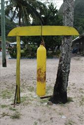 by kiwiaoraki, Views[403]