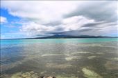 by kiwiaoraki, Views[640]