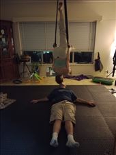 by kiwiaoraki, Views[69]