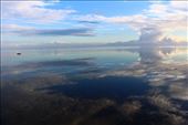 by kiwiaoraki, Views[196]