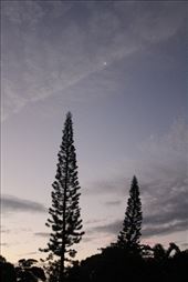 by kiwiaoraki, Views[159]