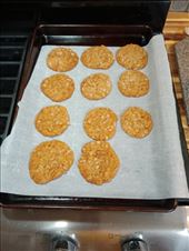 by kiwiaoraki, Views[193]