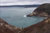 by kiwiaoraki, Views[440]