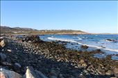 by kiwiaoraki, Views[414]