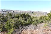 by kiwiaoraki, Views[260]