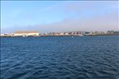 by kiwiaoraki, Views[295]