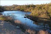 by kiwiaoraki, Views[433]