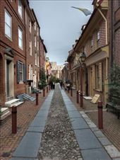 by kiwiaoraki, Views[163]