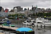 by kiwiaoraki, Views[478]
