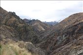 by kiwiaoraki, Views[433]