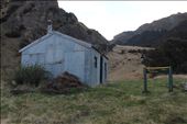 by kiwiaoraki, Views[383]