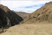 by kiwiaoraki, Views[436]