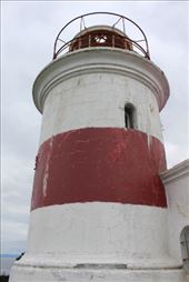 by kiwiaoraki, Views[214]