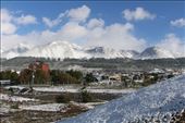 by kiwiaoraki, Views[309]