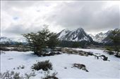 by kiwiaoraki, Views[173]