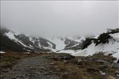 by kiwiaoraki, Views[192]
