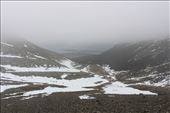 by kiwiaoraki, Views[216]