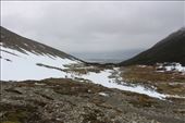 by kiwiaoraki, Views[261]