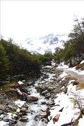 by kiwiaoraki, Views[178]