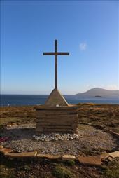 by kiwiaoraki, Views[137]