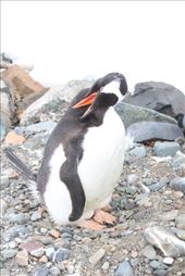 by kiwiaoraki, Views[151]