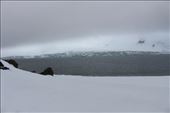 by kiwiaoraki, Views[296]