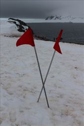 by kiwiaoraki, Views[260]