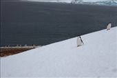 by kiwiaoraki, Views[290]