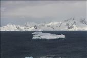 by kiwiaoraki, Views[334]
