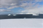 by kiwiaoraki, Views[313]