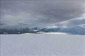 by kiwiaoraki, Views[156]