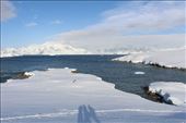 by kiwiaoraki, Views[245]