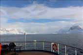 by kiwiaoraki, Views[316]