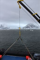 by kiwiaoraki, Views[273]