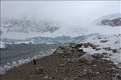 by kiwiaoraki, Views[291]
