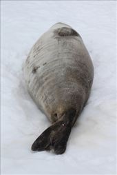 by kiwiaoraki, Views[272]